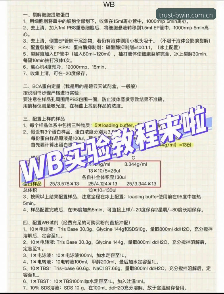 资深用户揭秘：BWIN使用教程安全吗？我的实战经验与心得分享